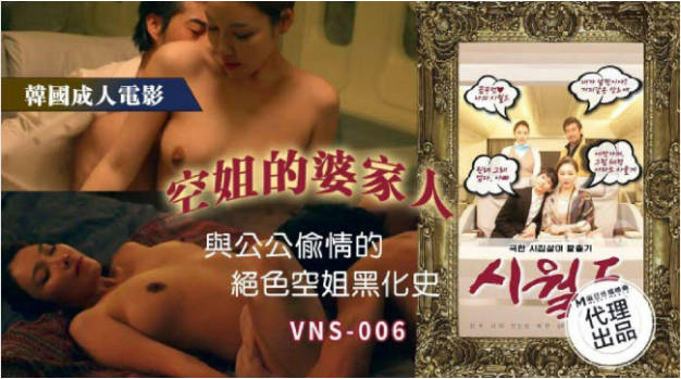VNS006 维纳斯传媒 空姐的婆家人