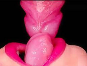 吞精女王 这才是真正的精壶 这小舌头太舔的太上头了好涩涩 含着漏斗吞下精液 画面太美了好享受